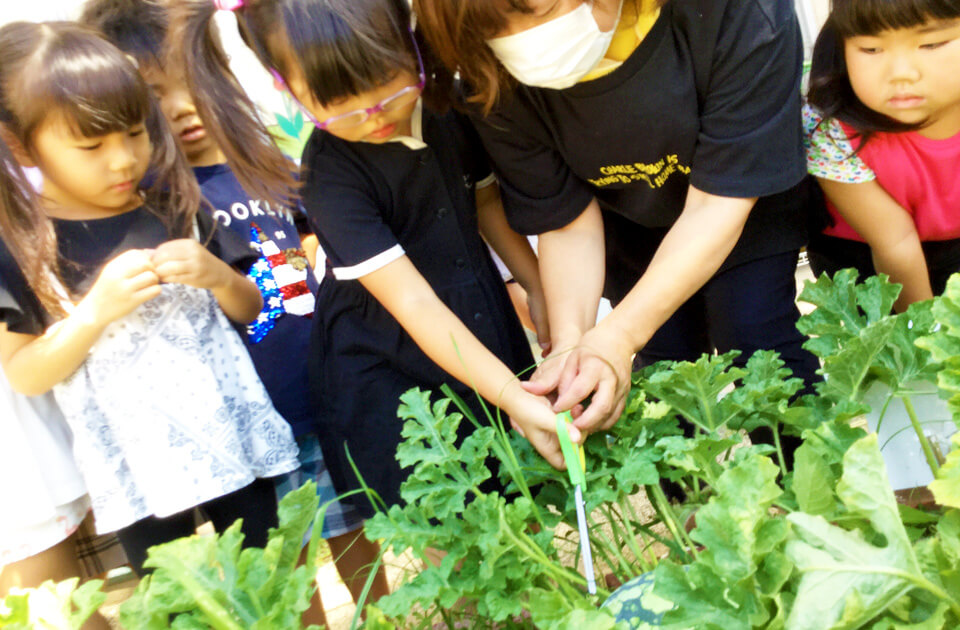 2021年8月 SuruSu上陽こども園 スイカ割りの様子