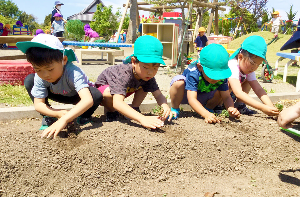 SuruSu祝昌こども園 種まき・苗植えの様子 2021年5月