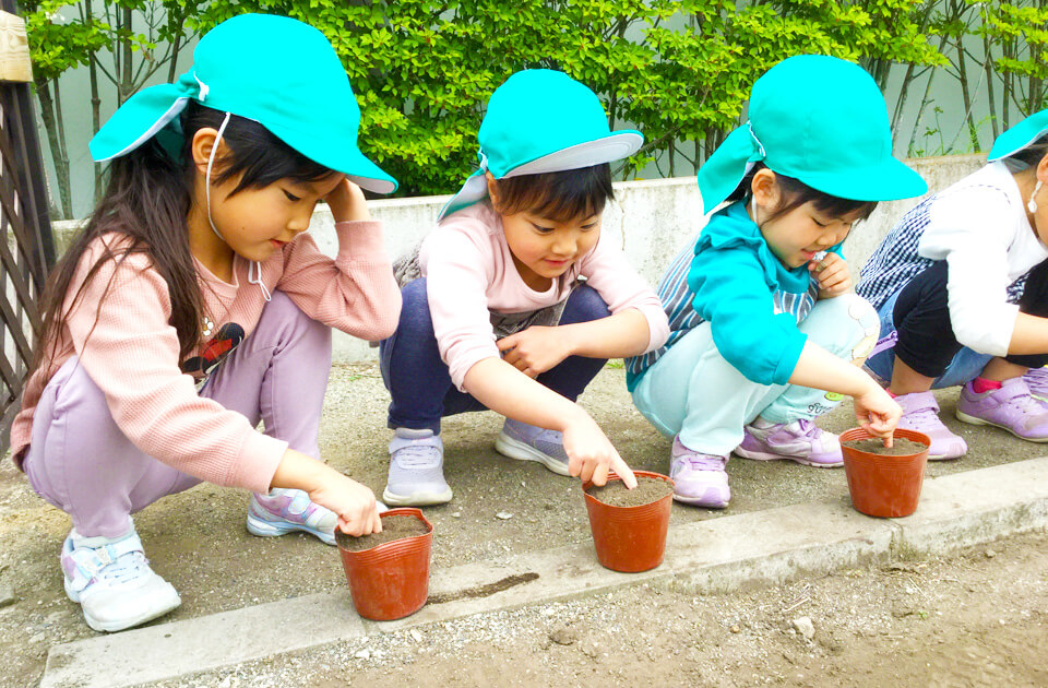 SuruSu祝昌こども園 種まき・苗植えの様子 2021年5月