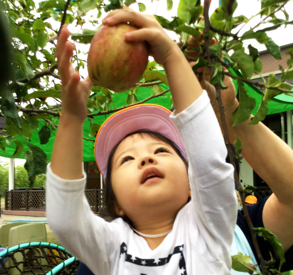 2021年9月 SuruSu祝昌こども園 食欲の秋の様子