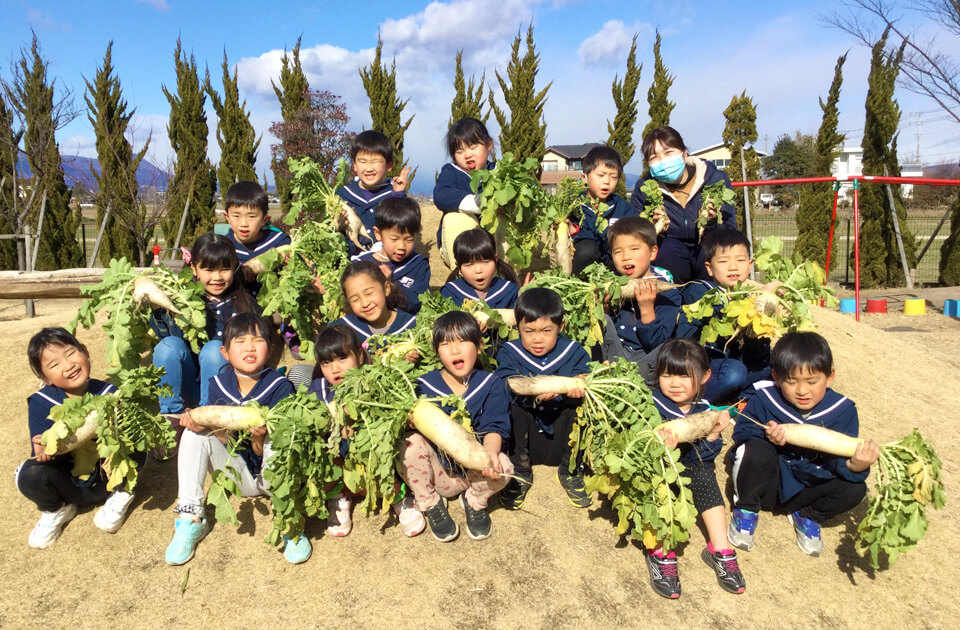 SuruSu祝昌こども園 大根掘りの様子 2022年1月